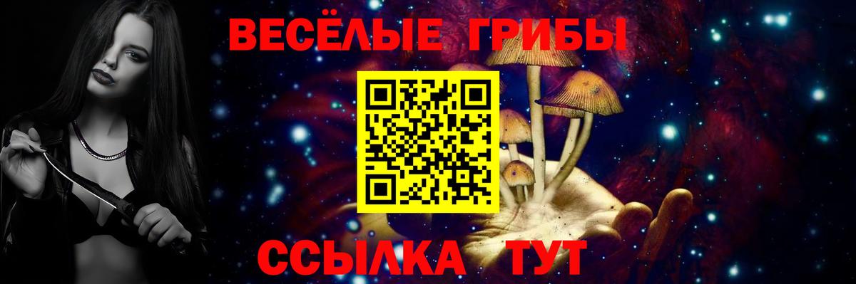 Галлюциногенные грибы Psilocybine cubensis Смоленск